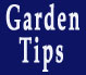 Garden tips with flower
